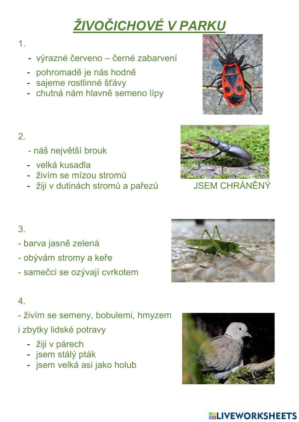 Zvířata v parcích