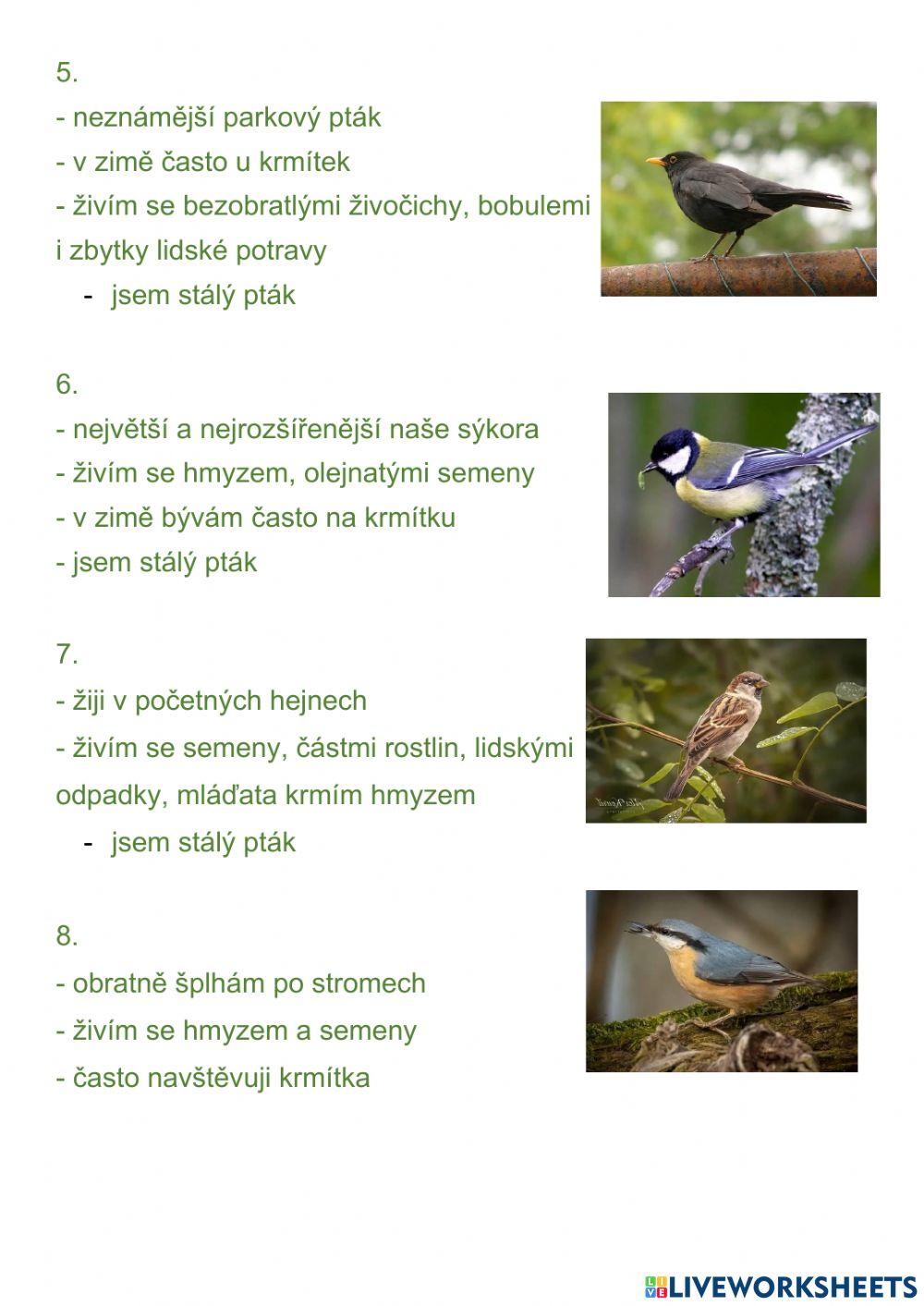 Zvířata v parcích