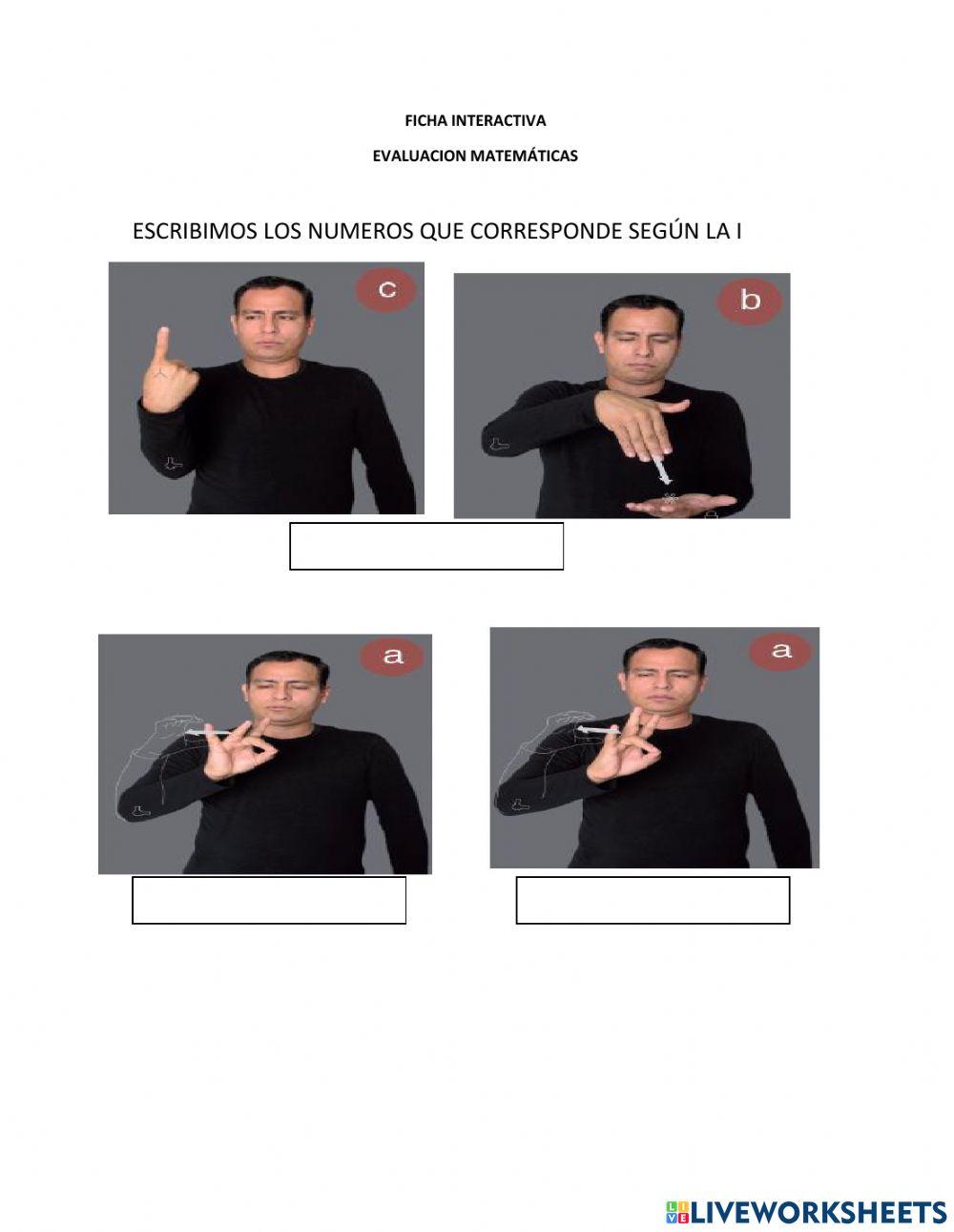 Evaluacion matematicas