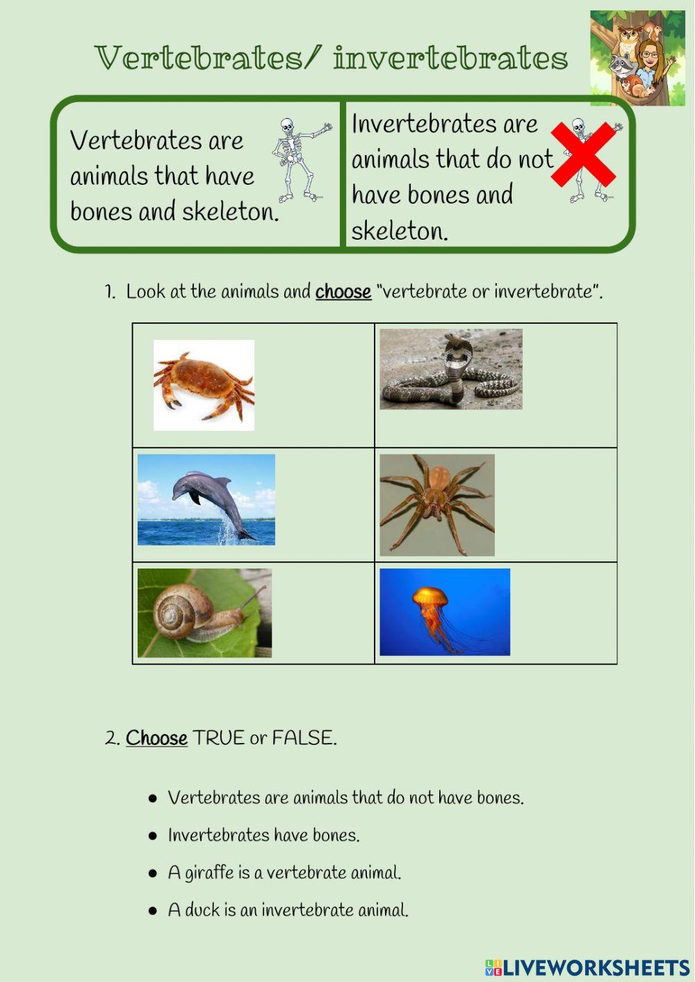 Let-s practice. Vertebrates and invertebrates