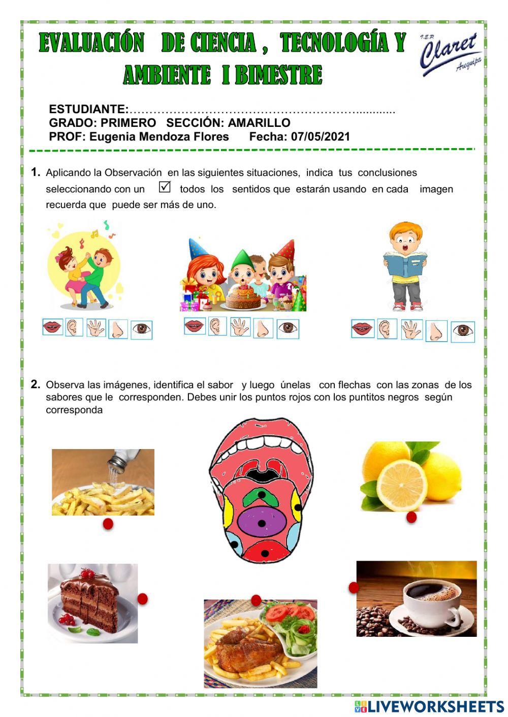 Evaluacion  de ciencia y tecnologia