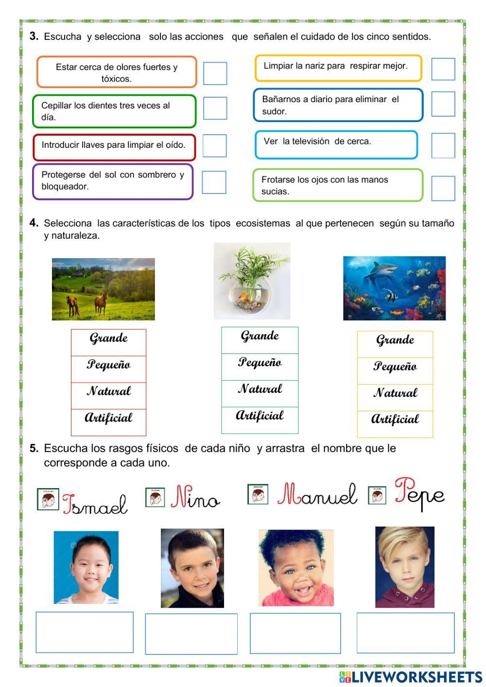 Evaluacion  de ciencia y tecnologia