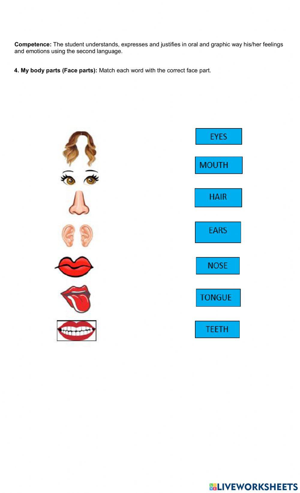 Review numbers, house parts and body parts