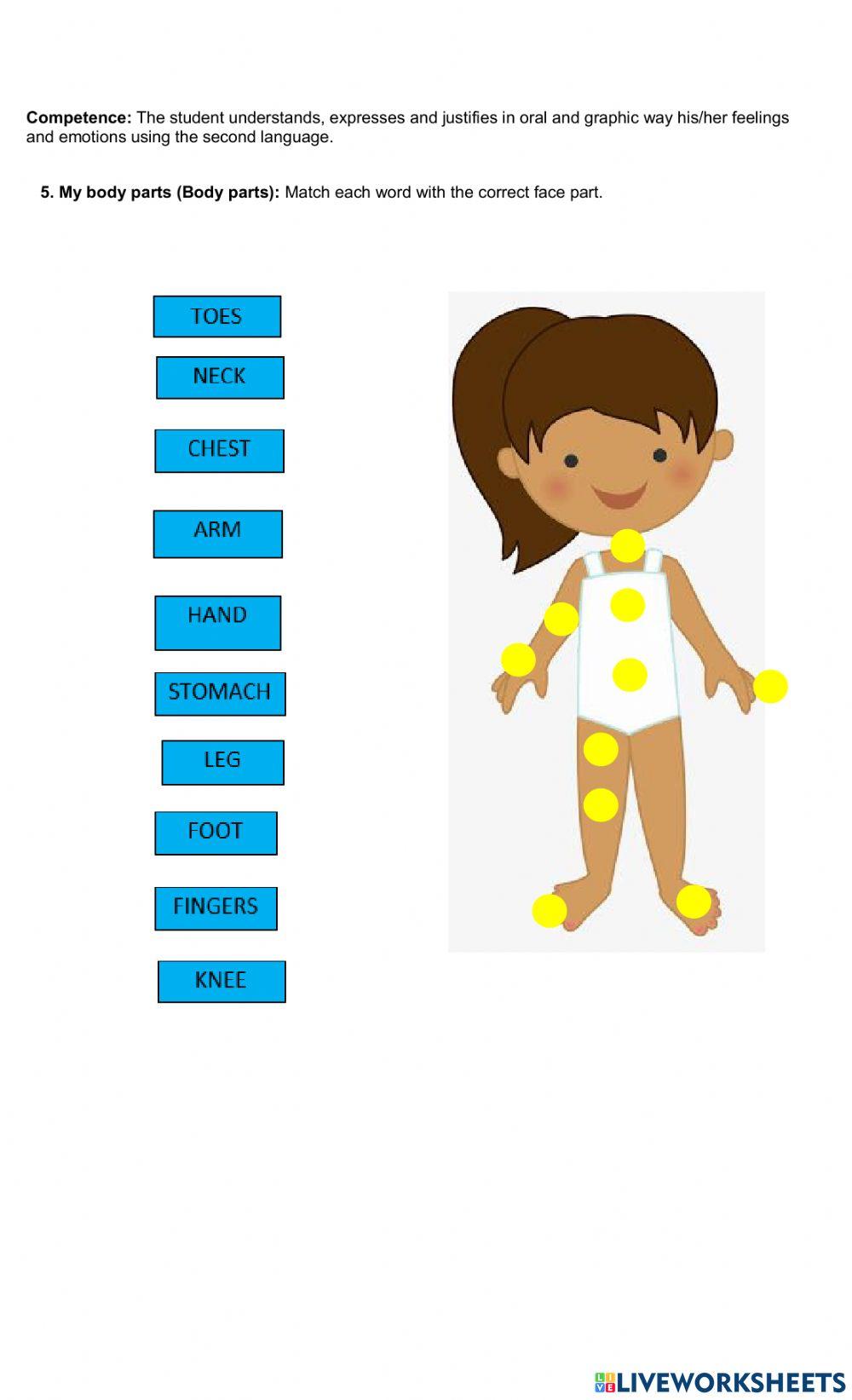 Review numbers, house parts and body parts