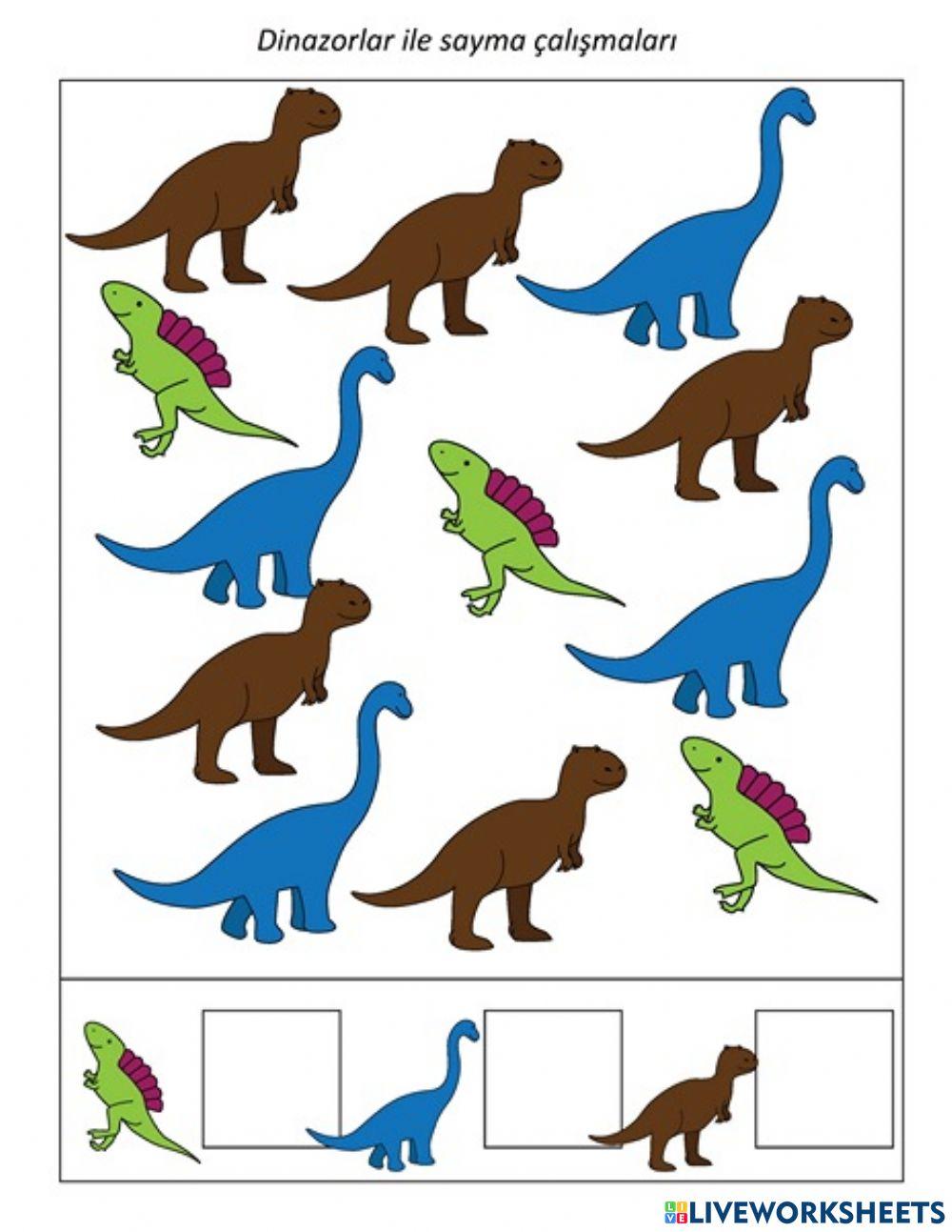 Di̇nazor i̇le sayma çalişmalari