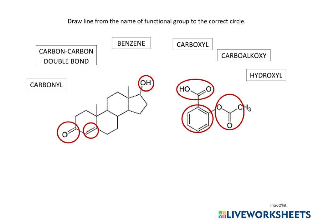 Introokit functional group