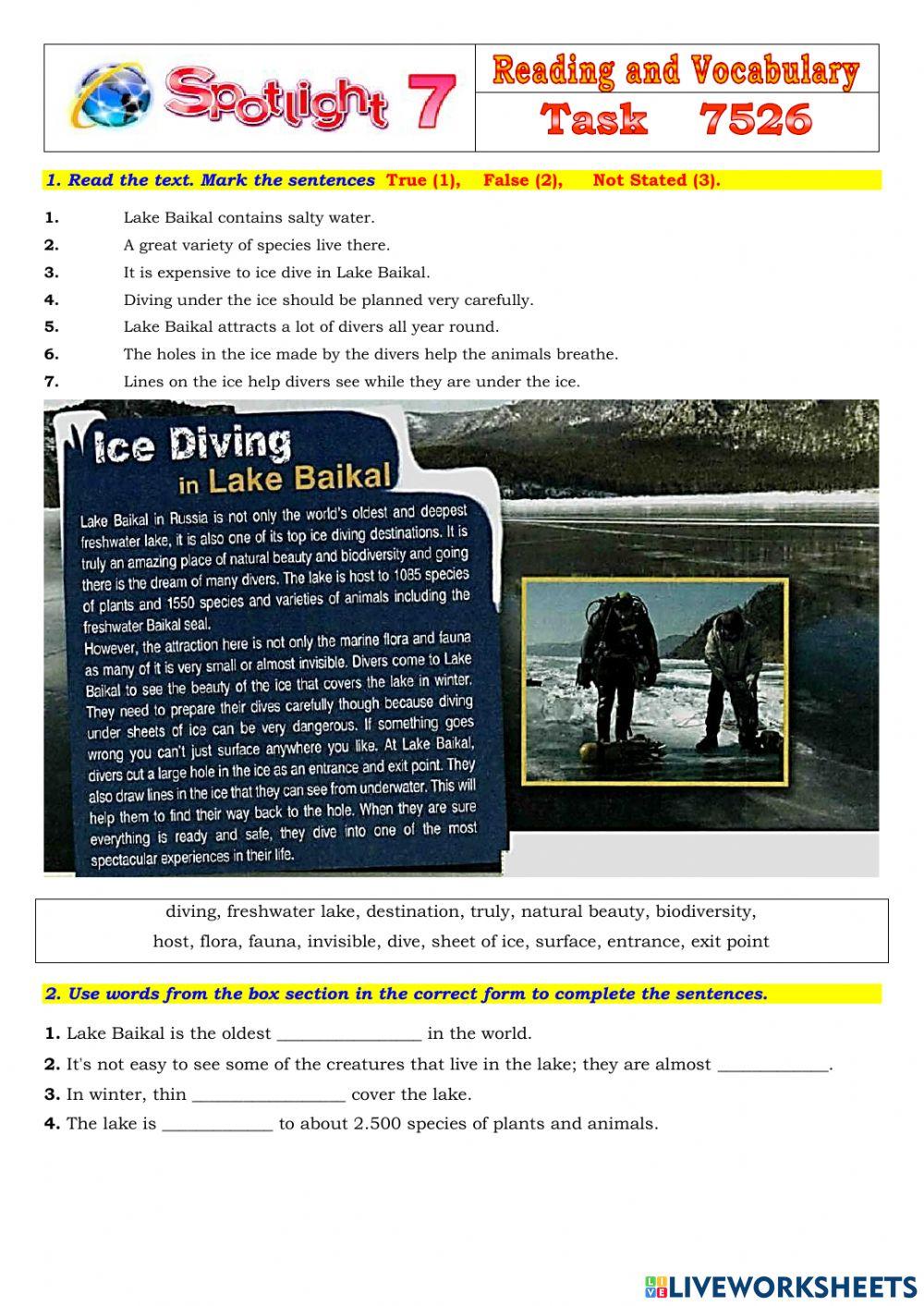 Spotlight 7 Task 7526