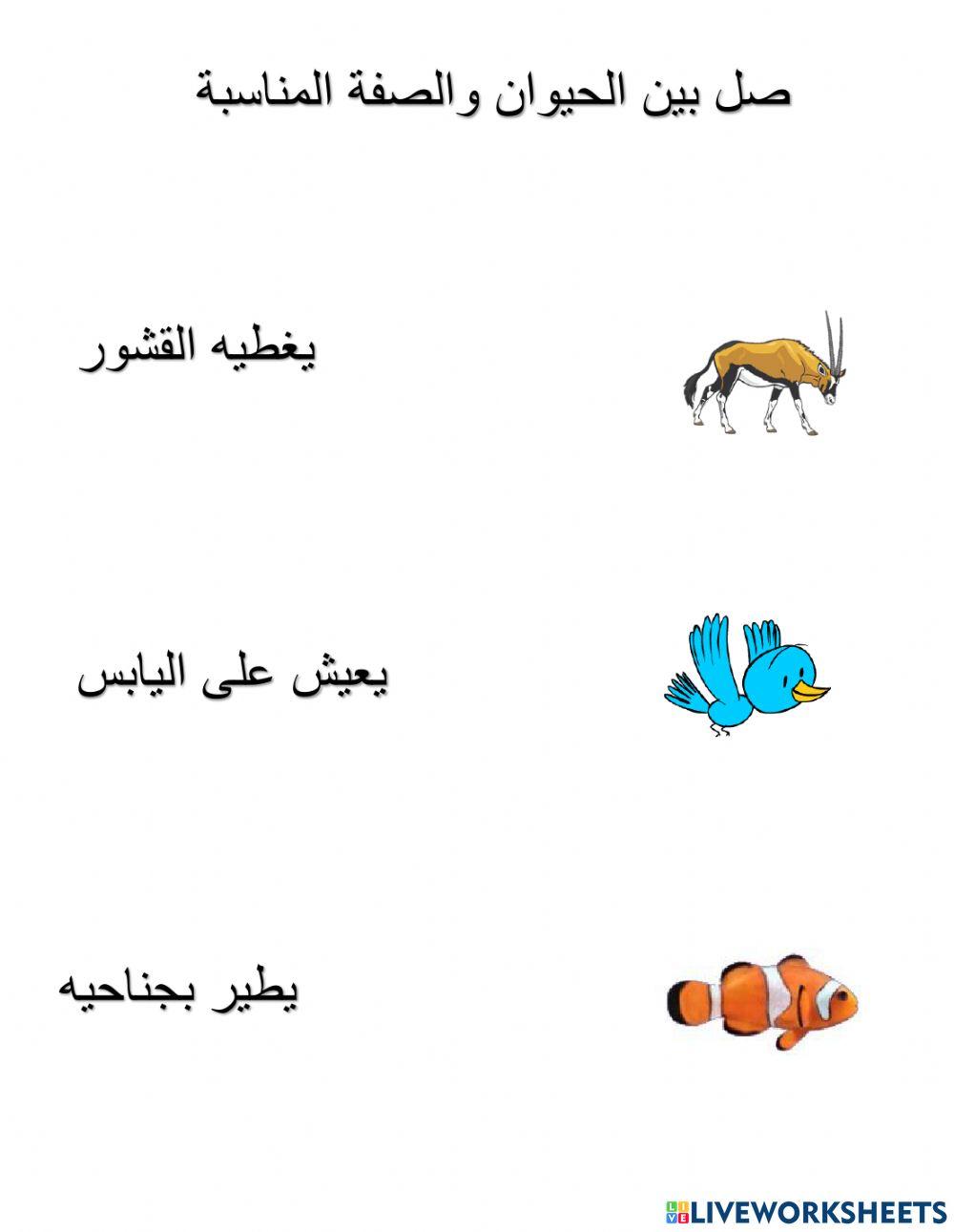 خصائص الحيوانات