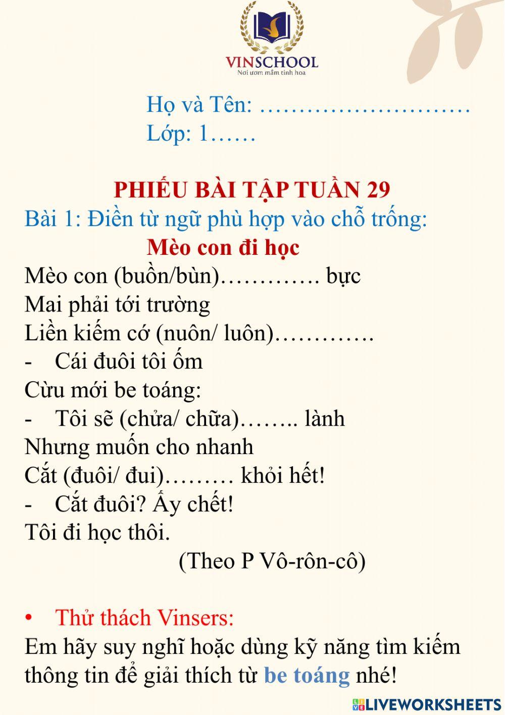 Phiếu bài tập tuần 29