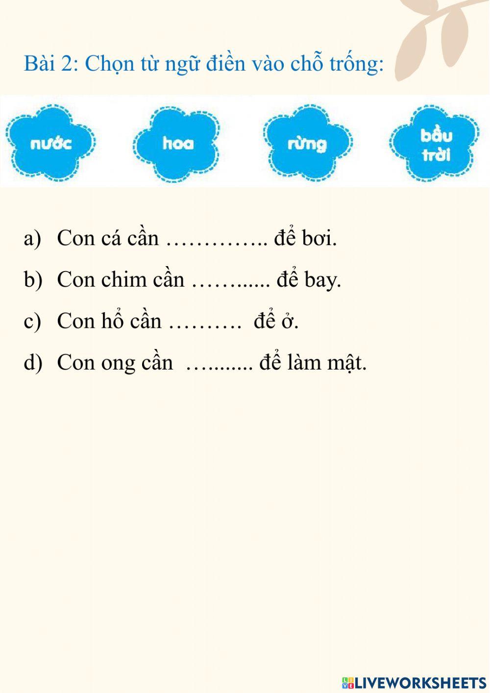 Phiếu bài tập tuần 29