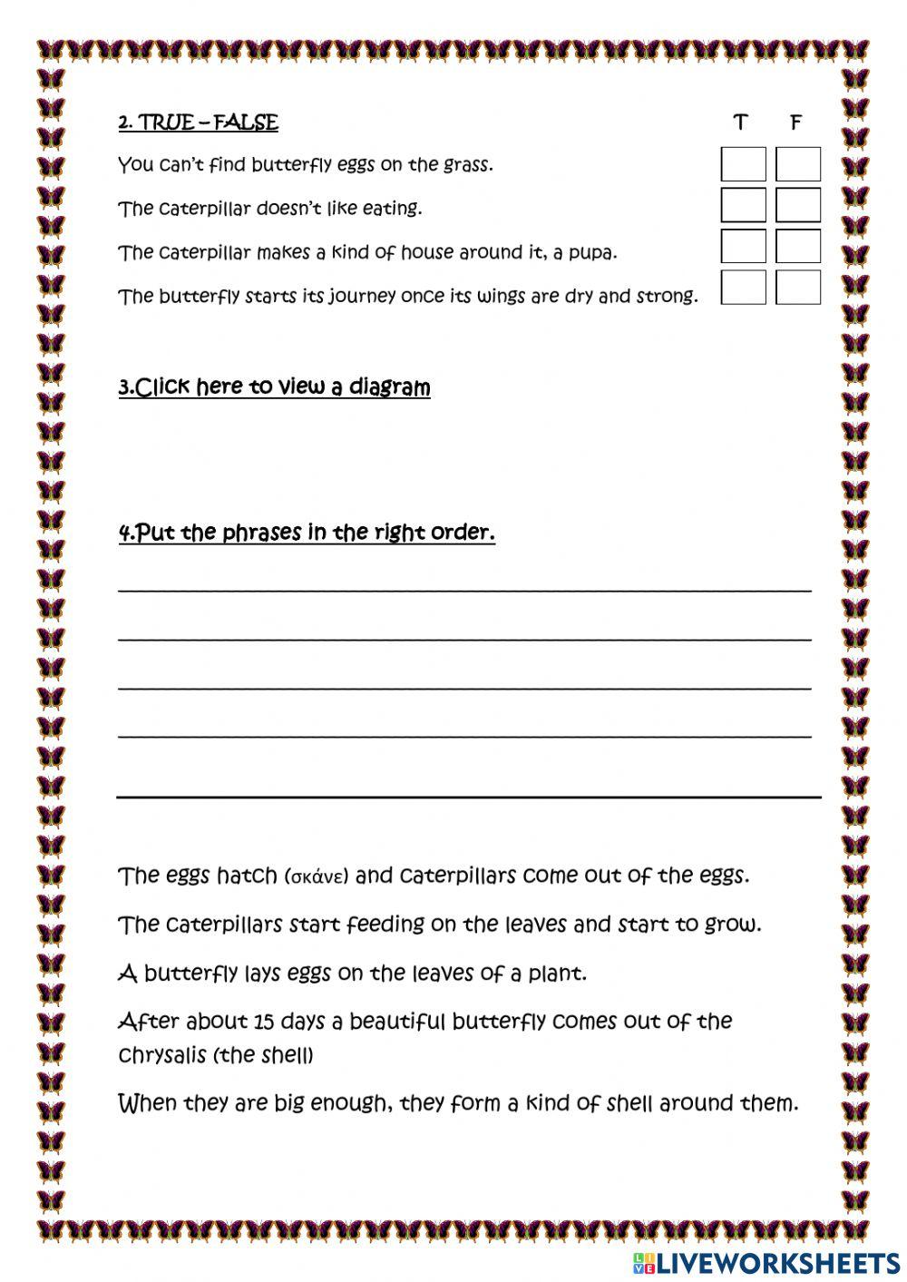 The butterfly lifecycle