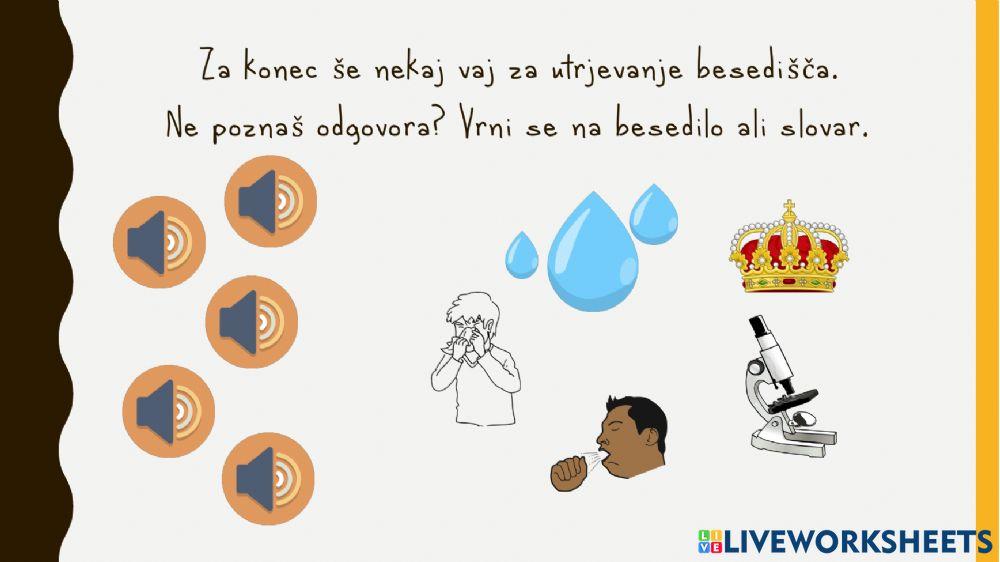 Das Corona-Virus - 1. Teil