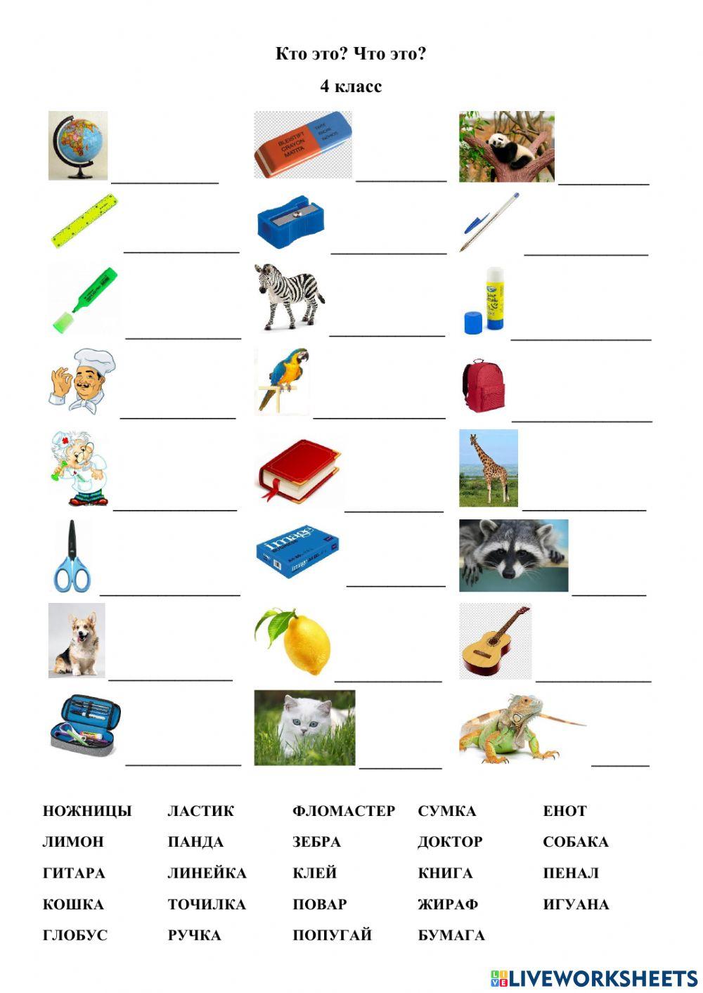 Что это? Кто это?