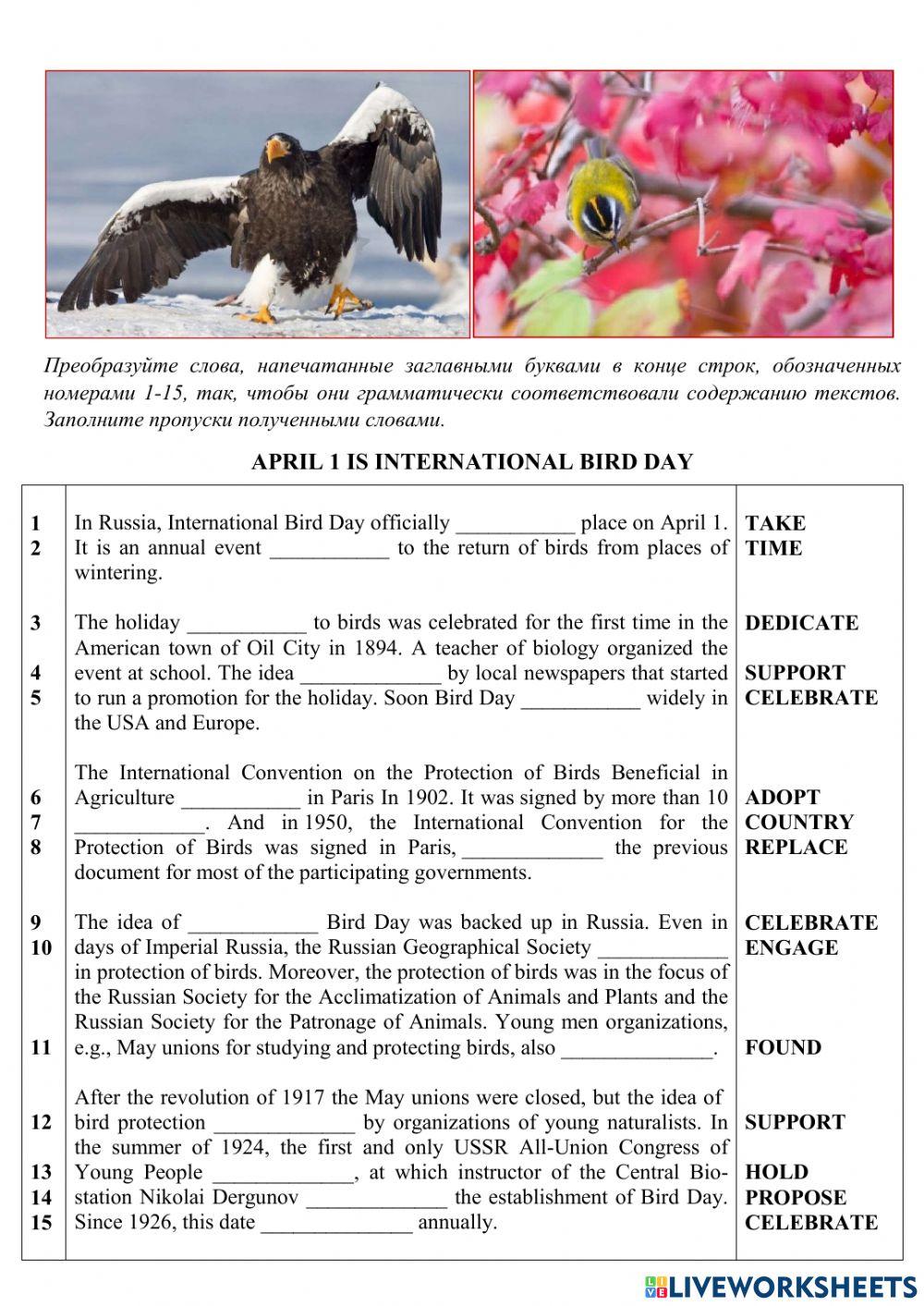 Use of English. Grammar focus: the passive voice