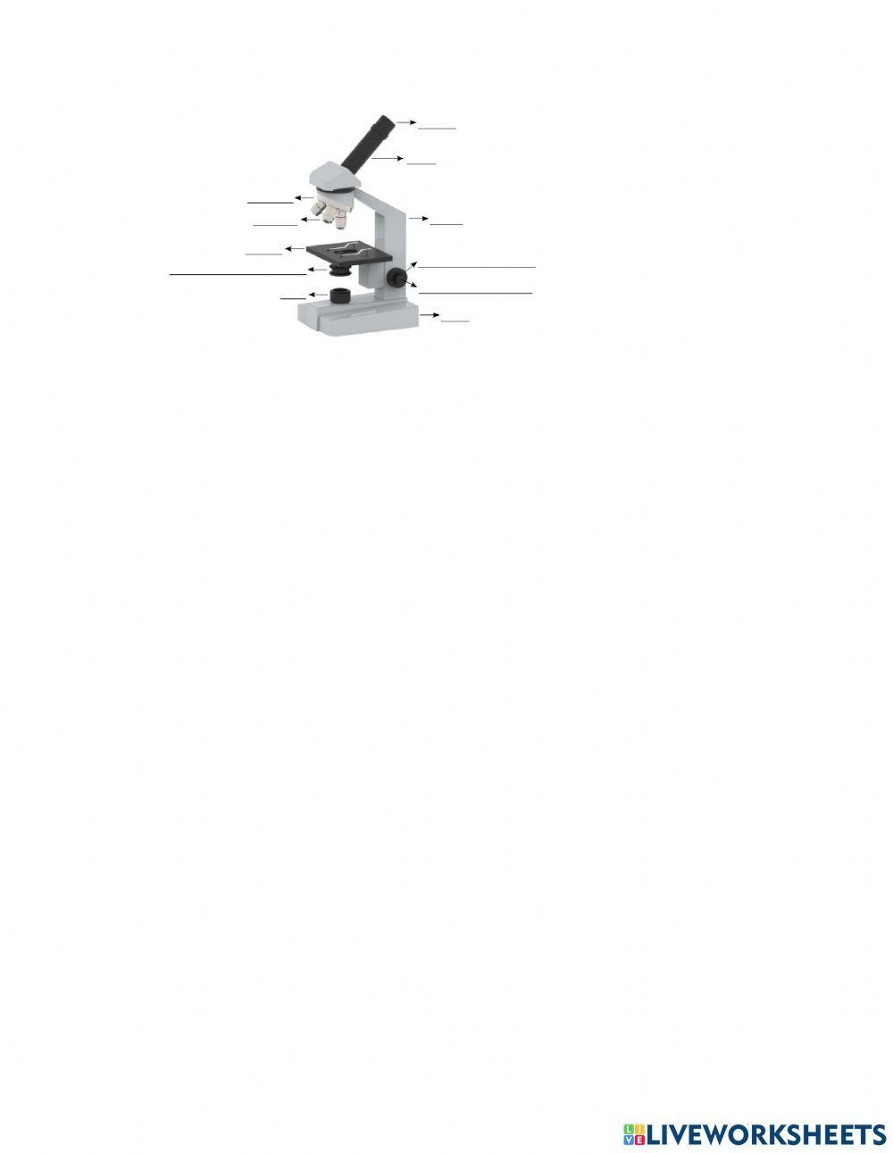 LKPD Cahaya dan Alat Optik