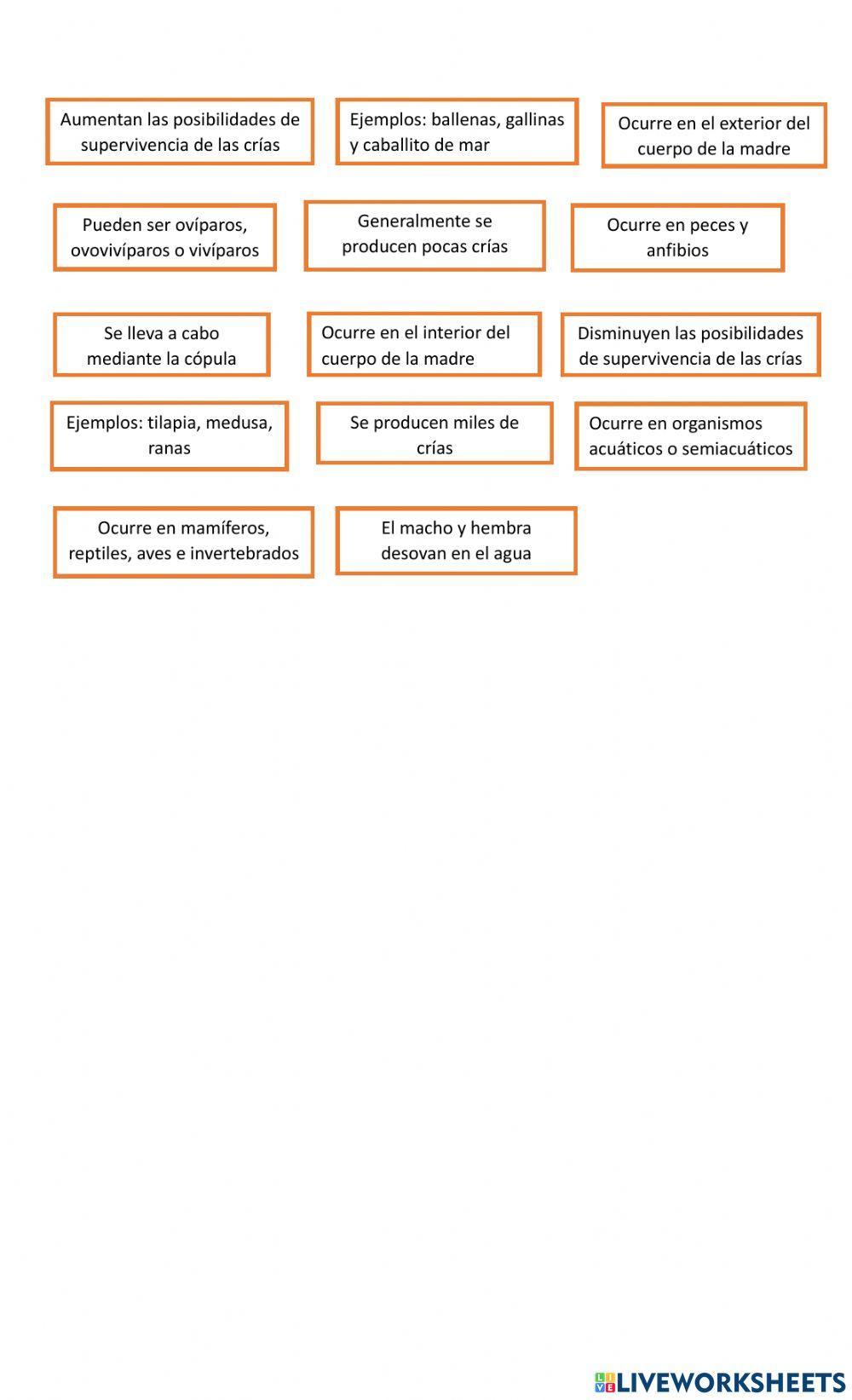 Fecundación Interna y Externa