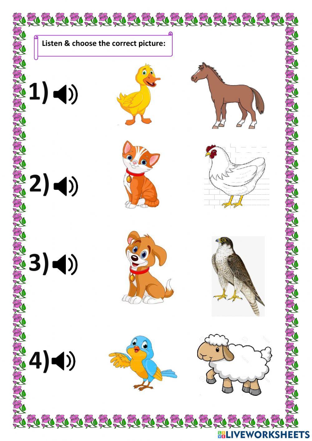 Listen & choose birds u 8