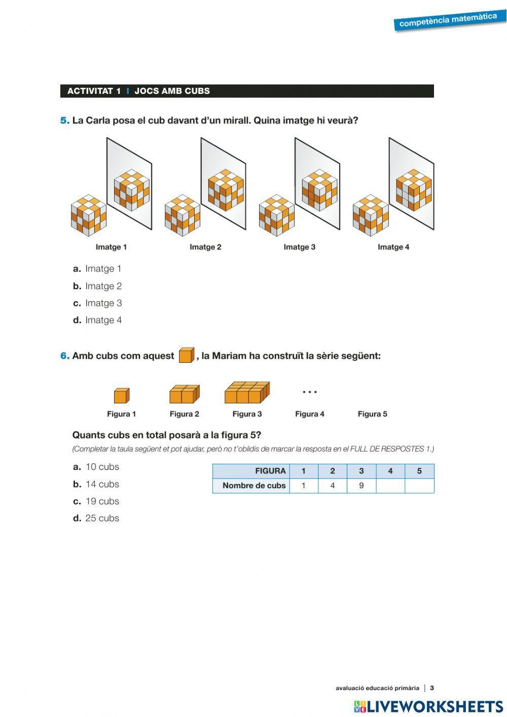 Competències bàsiques 6è 18-19