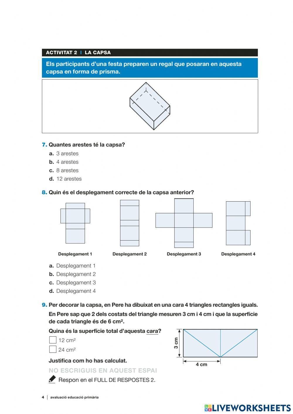 Competències bàsiques 6è 18-19