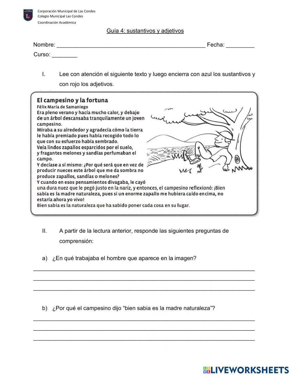 Sustantivos y adjetivos