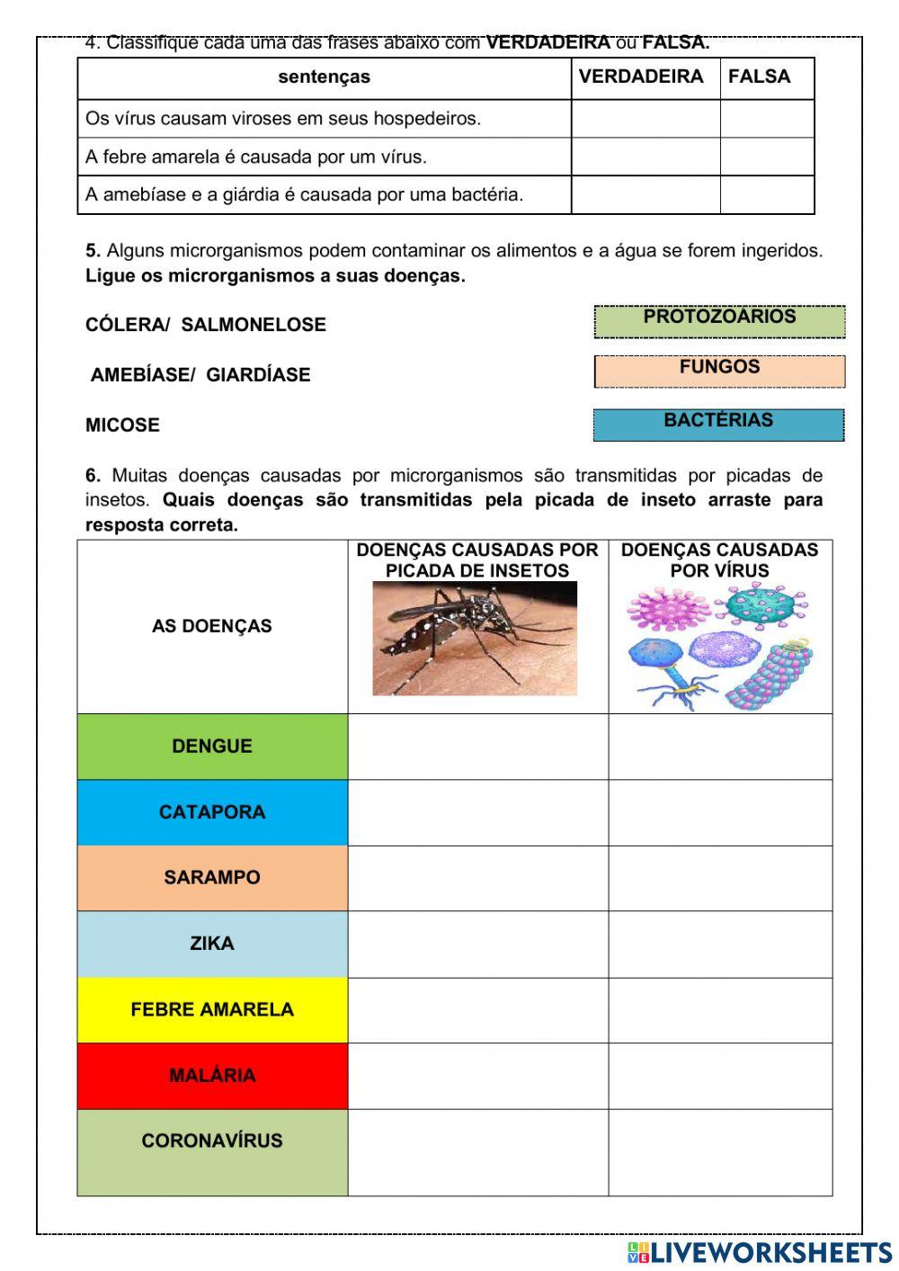 Microrganismos e a saúde