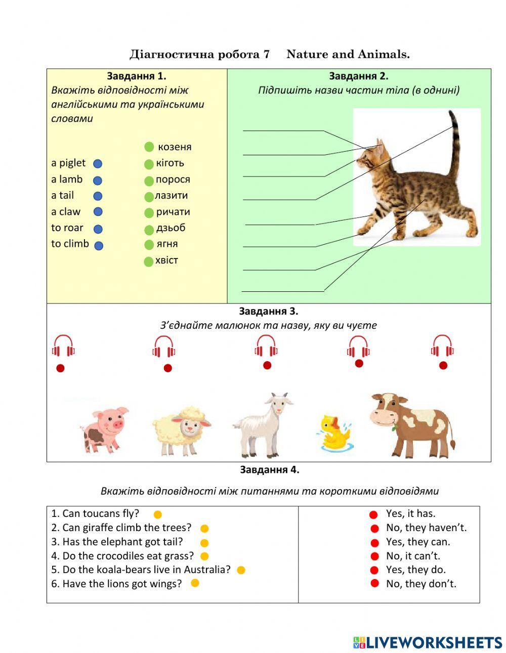 Діагностична робота 7