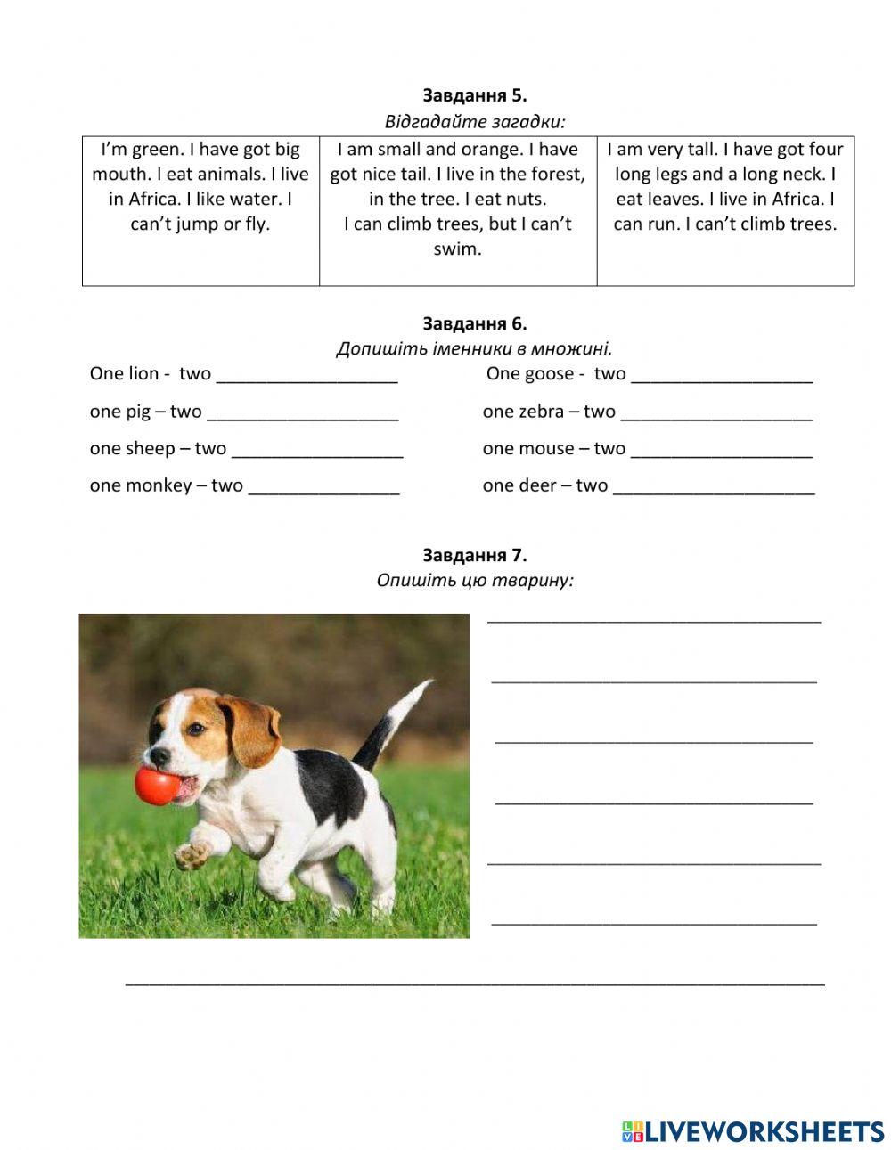 Діагностична робота 7