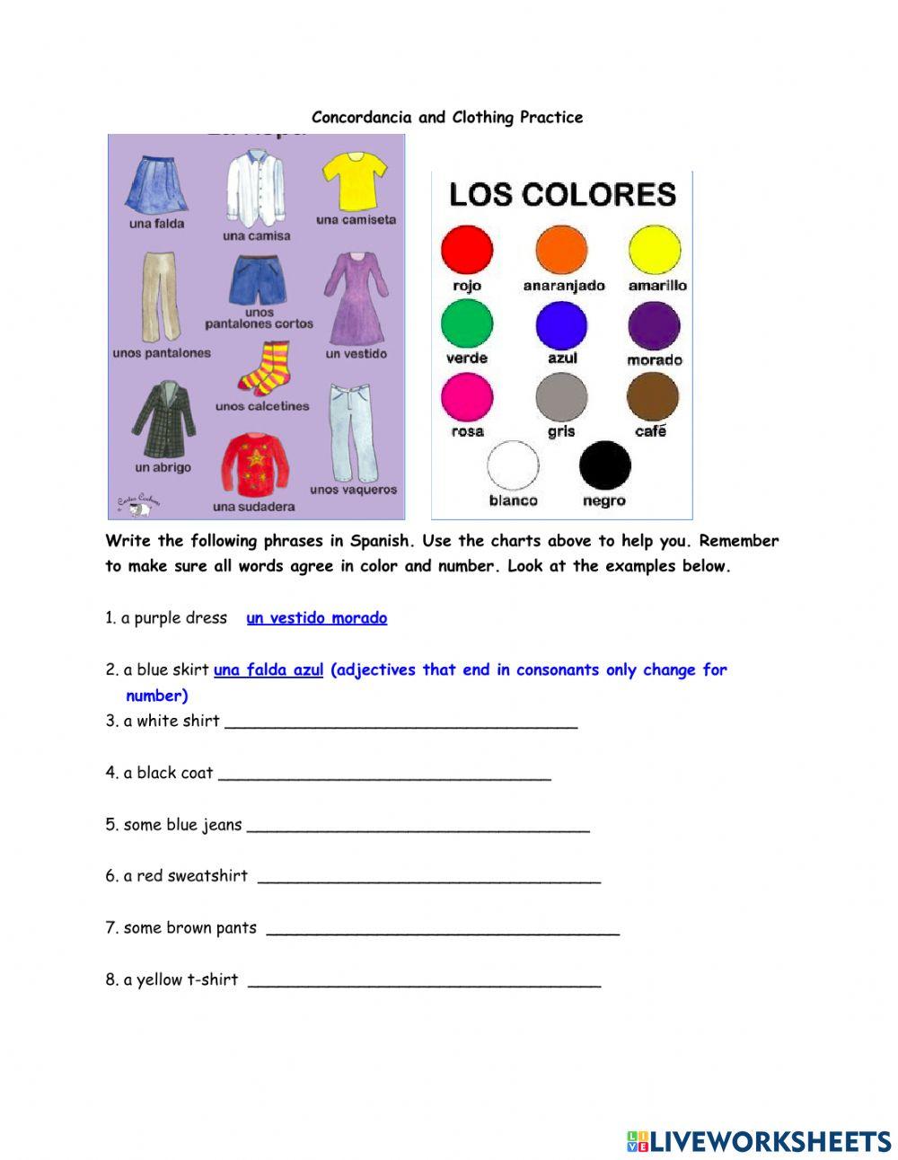 Worksheet on Concordancia