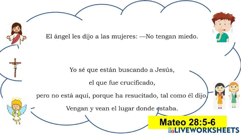 Texto biblico