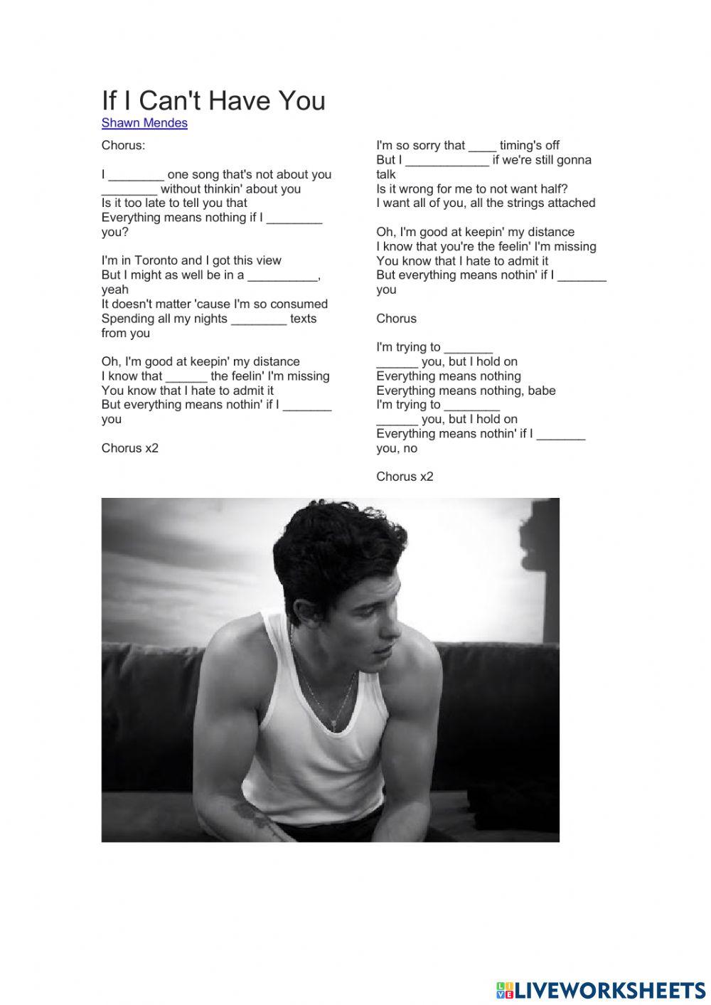 Complete the song- Shawn Mendes