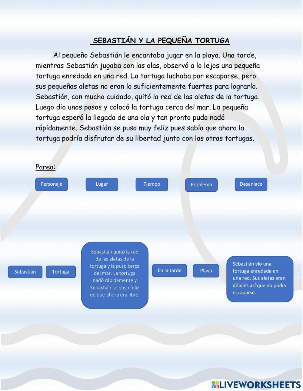 Sebastian y la tortuga