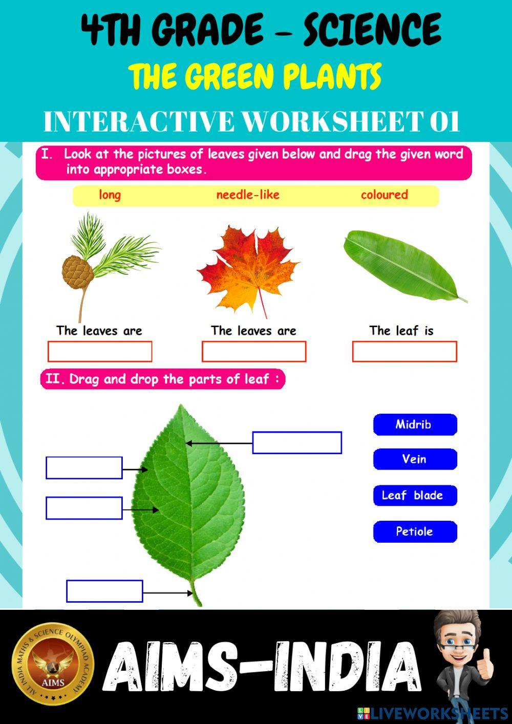 4th-science-ps01-the green plants
