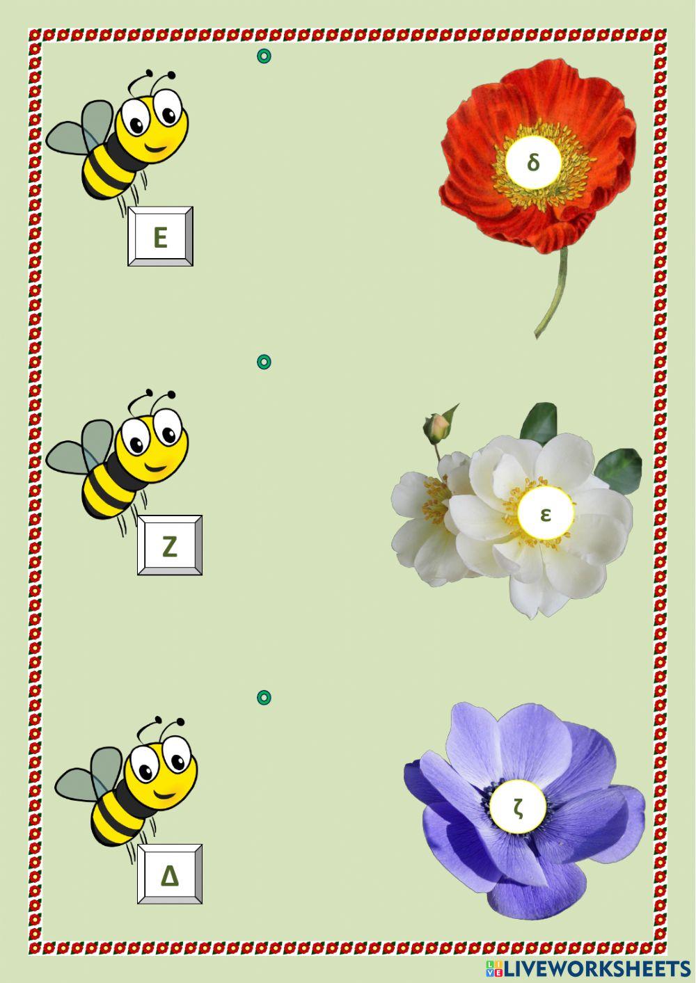 Έντομα:κεφαλαία-πεζά.