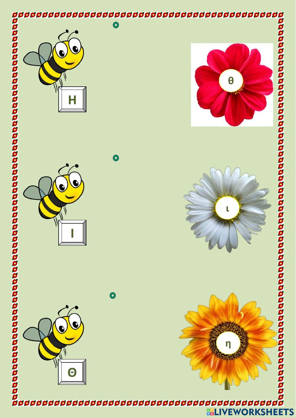 Έντομα:κεφαλαία-πεζά.