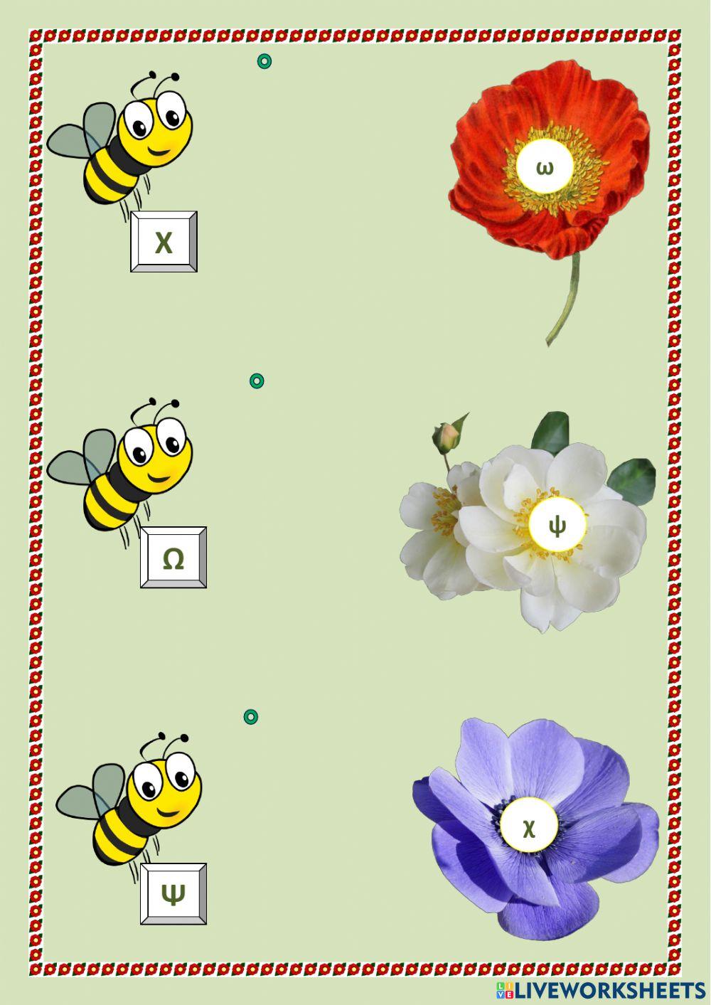 Έντομα:κεφαλαία-πεζά.