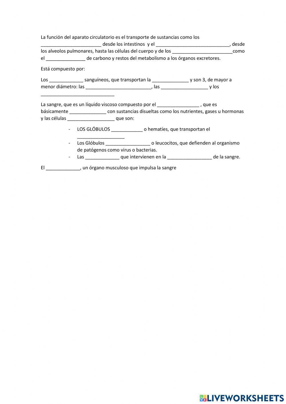 Aparato circulatorio