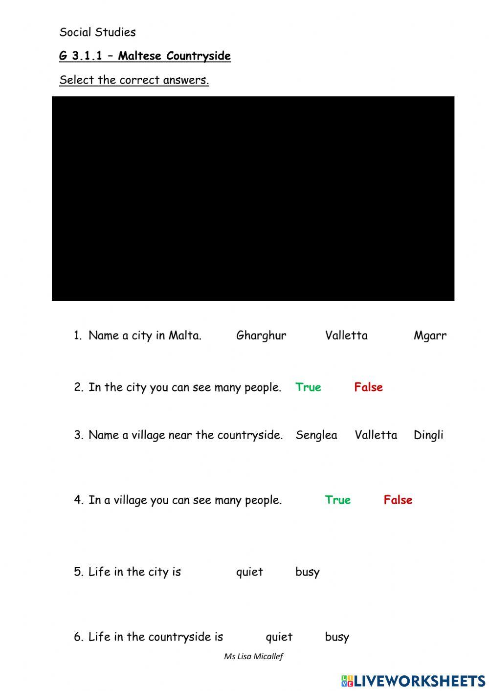 Towns & Cities worksheet | Live Worksheets