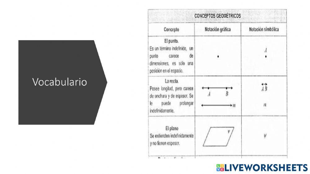 Vocacbulario matemáticos y tipos de rectas