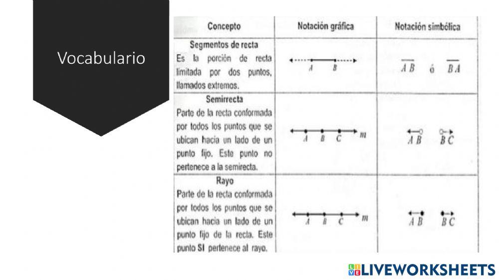 Vocacbulario matemáticos y tipos de rectas