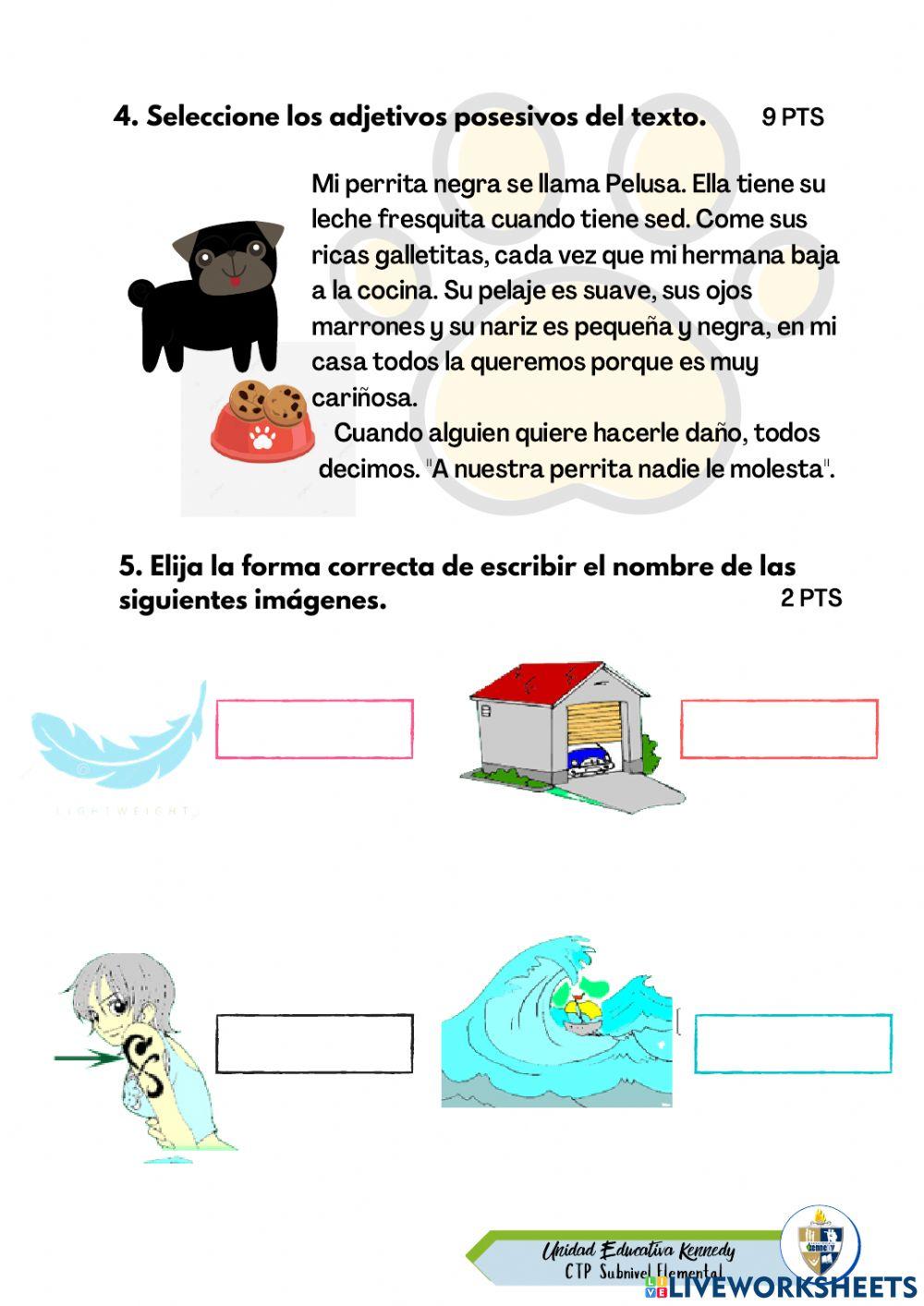 EVALAUACIÓN SUMATIVA LENGUA GRUPO DE LA MAÑANA