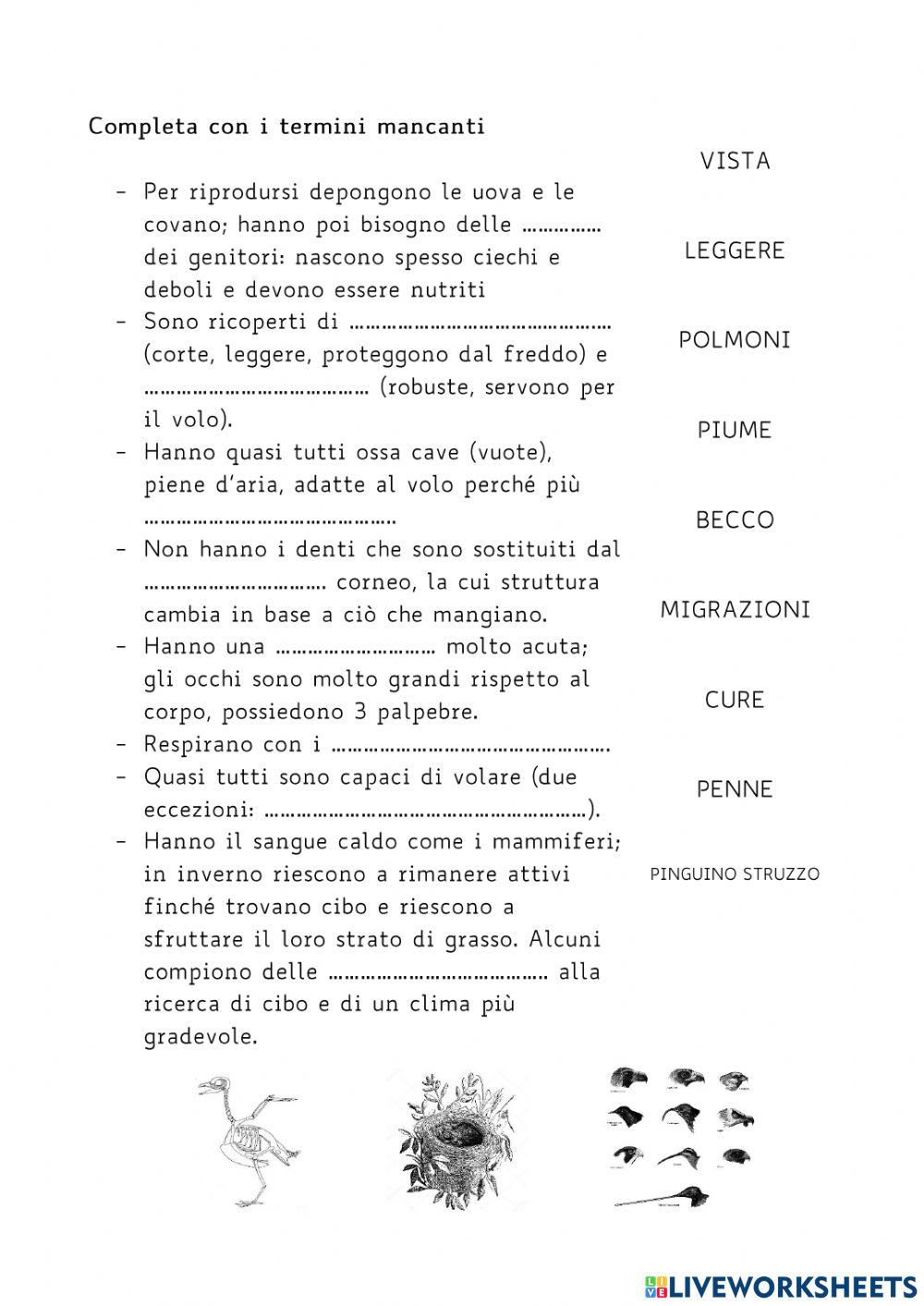 Gli uccelli Gli uccelli