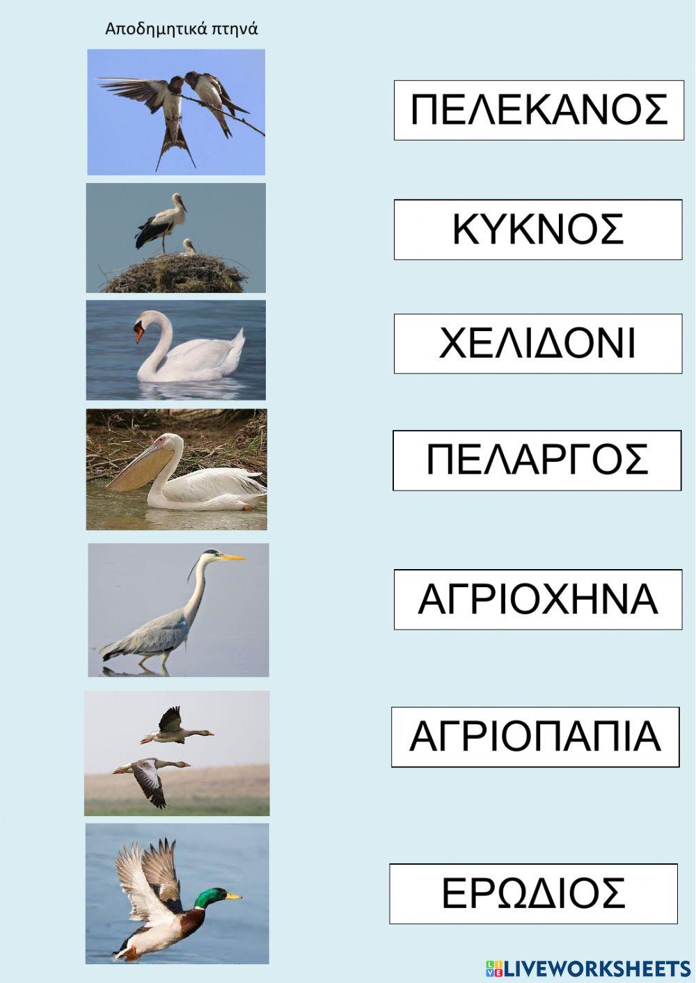 Αποδημητικά πουλιά