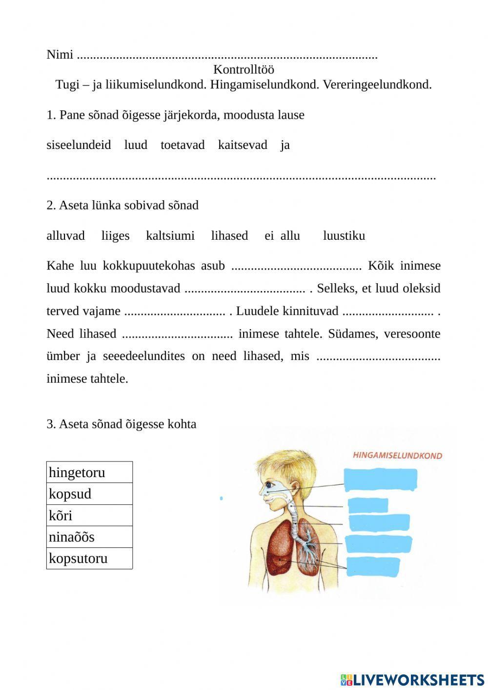Luustik. Hingamine. Vereringe