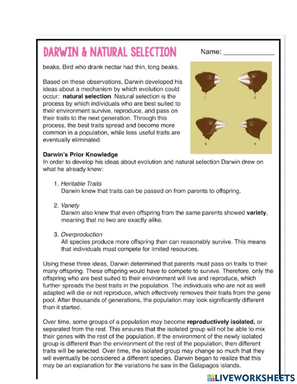Darwin and Natural Selection 6518817 Brooke Yancey