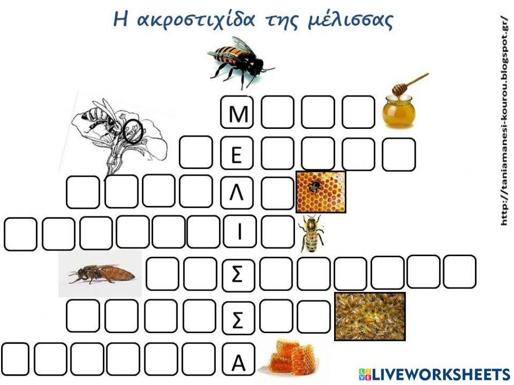 Ακροστοιχίδα της μέλισσας