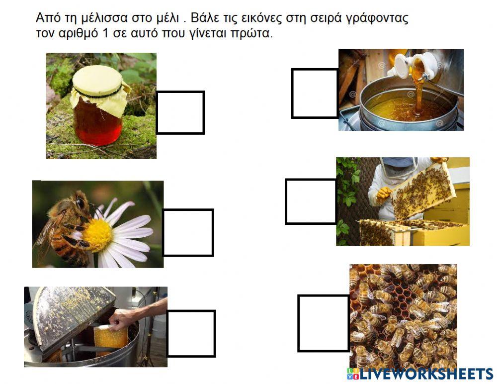 Μελισσα Μελισσα
