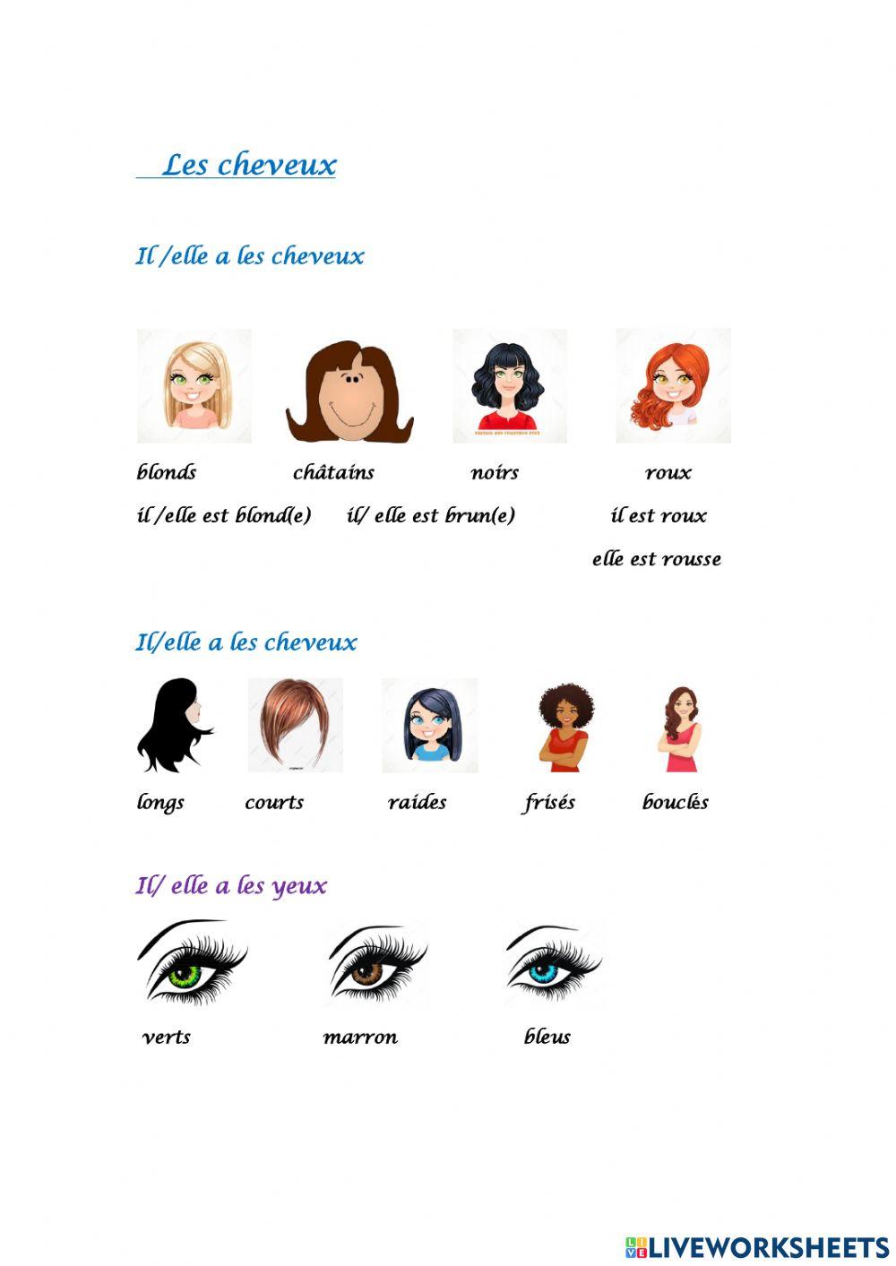 La description physique