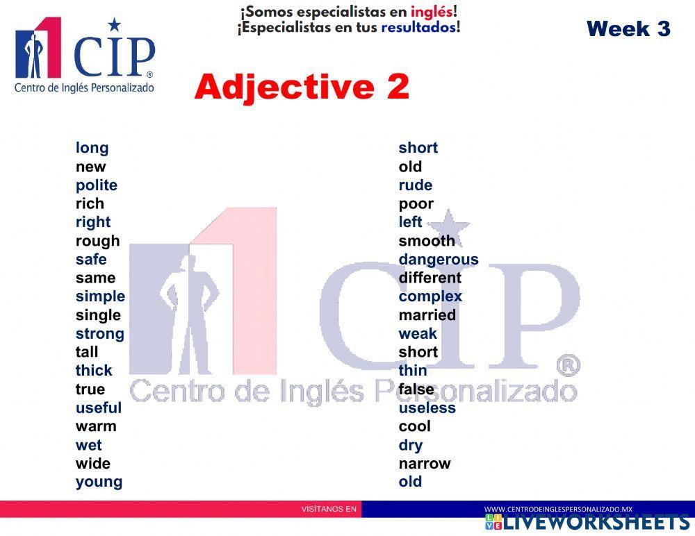 Adjective 2 week 3