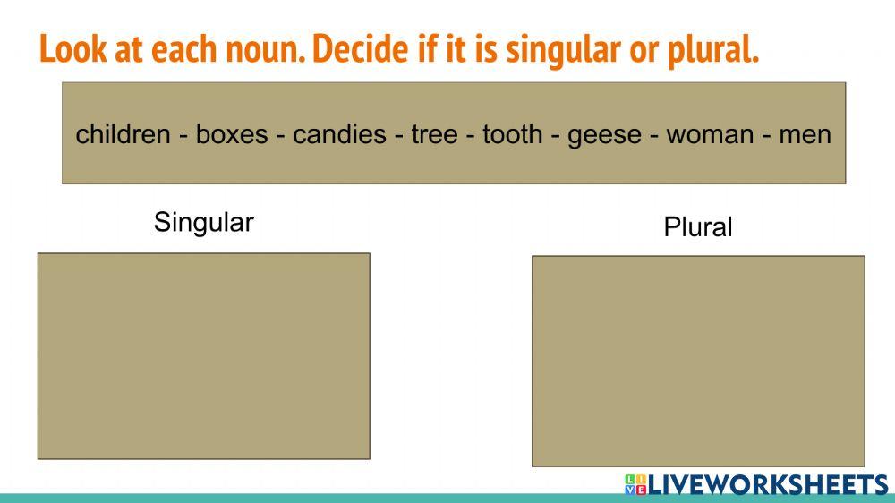 Singular and Plural Nouns