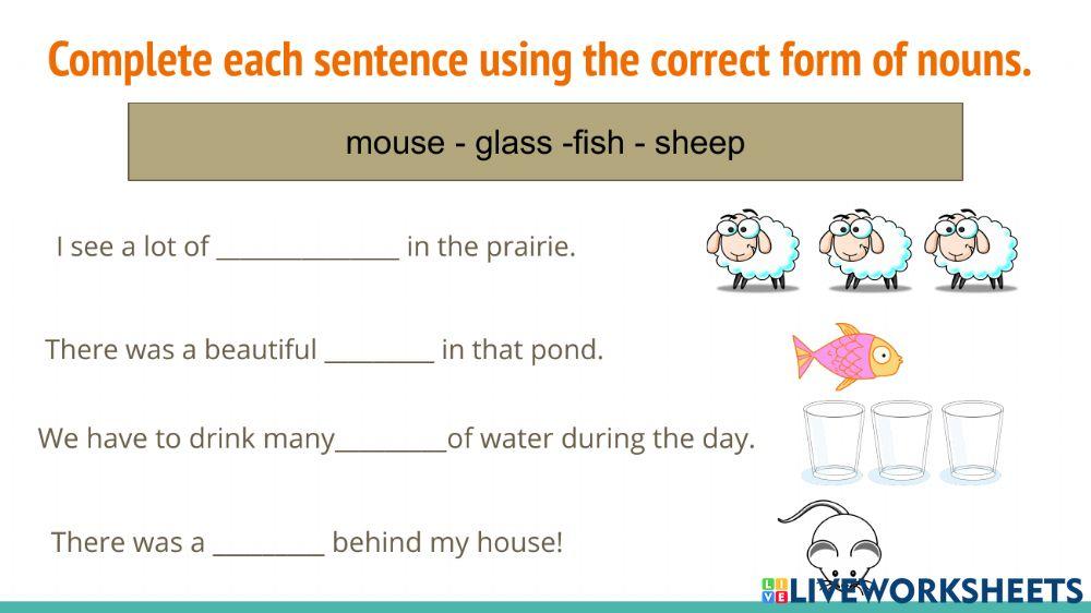 Singular and Plural Nouns